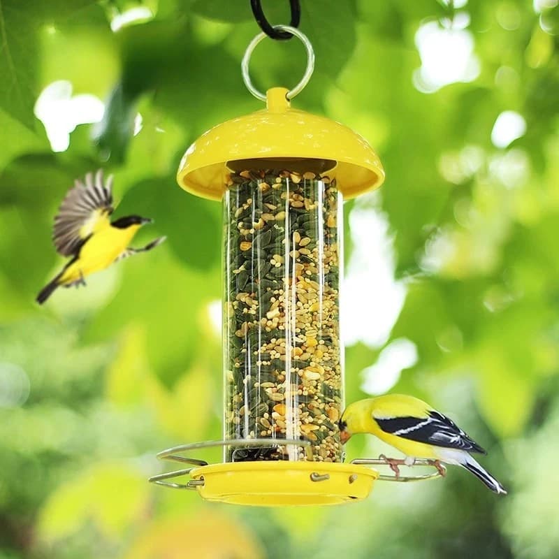 Garden bird feeder